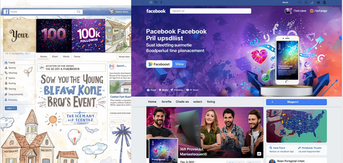 100 k Help you  to Grow Your Fan Page or Personal to 100,000 Followers Quickly save lots time